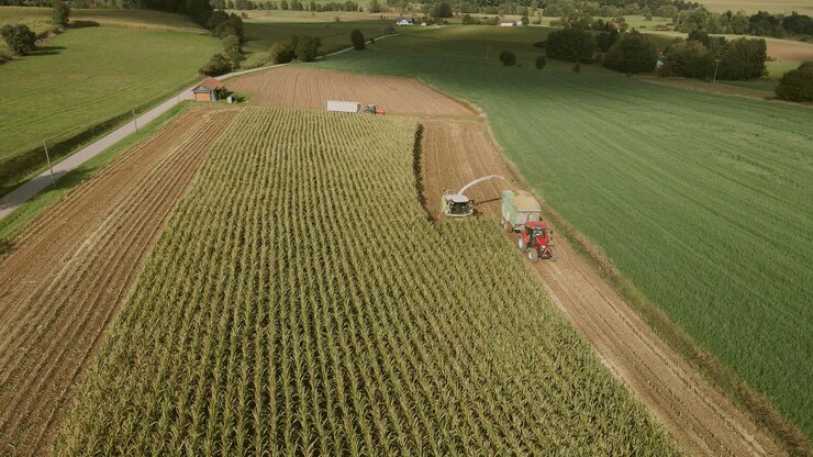 Imagen Asesoría y Planificación Agraria